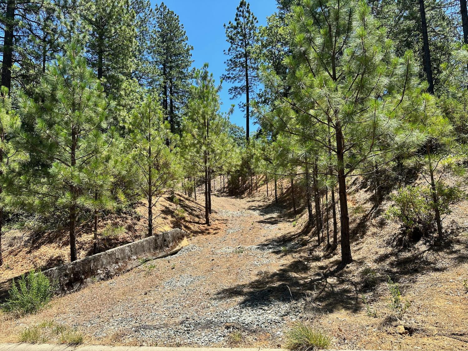 16689 Winchester Club Drive