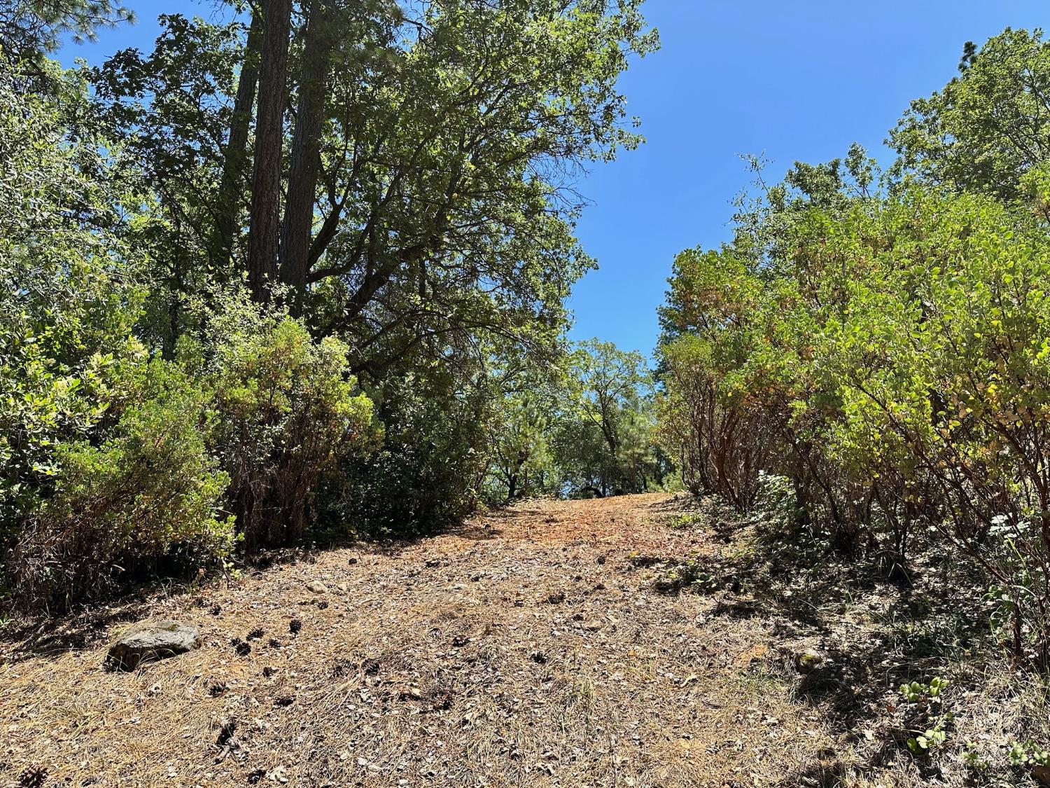 16689 Winchester Club Drive