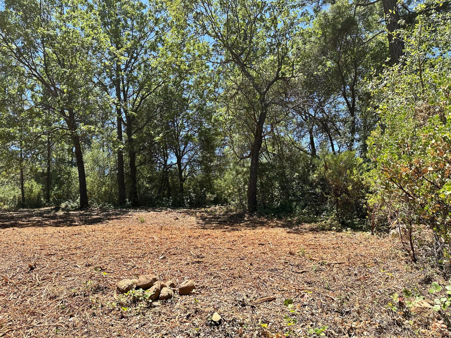 16689 Winchester Club Drive