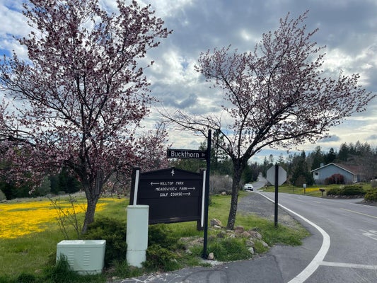 386 BUCKTHORN DR, MURPHYS, CA 95247 - Image 6b0a0e7842e379d06fddd7fb34c3cd7f/633238407