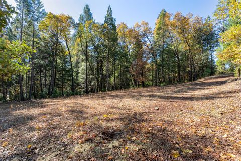 MLS: 225057156