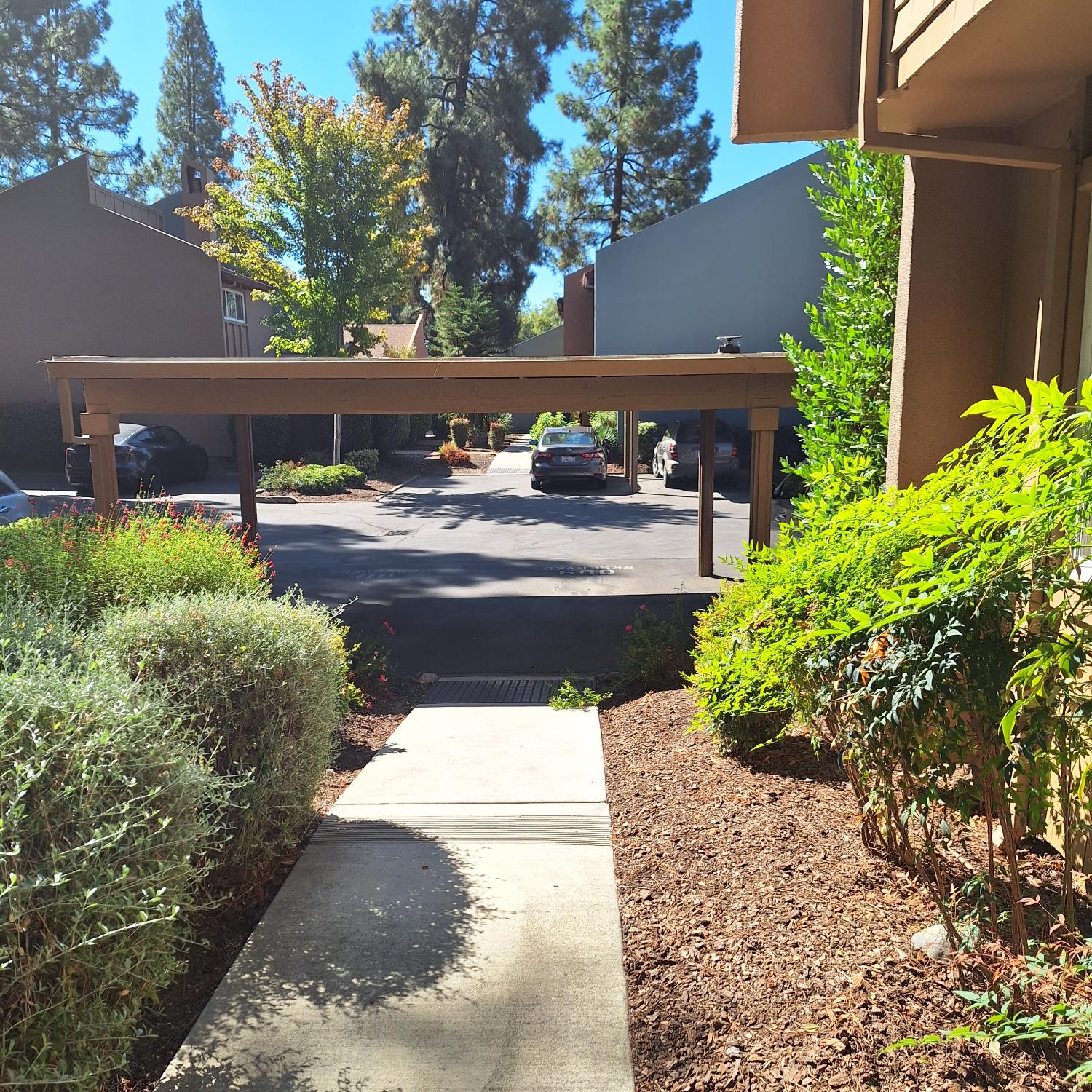 2007 Alta Loma Street