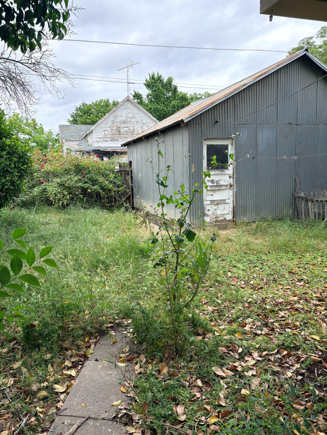 546 Parkhill Street