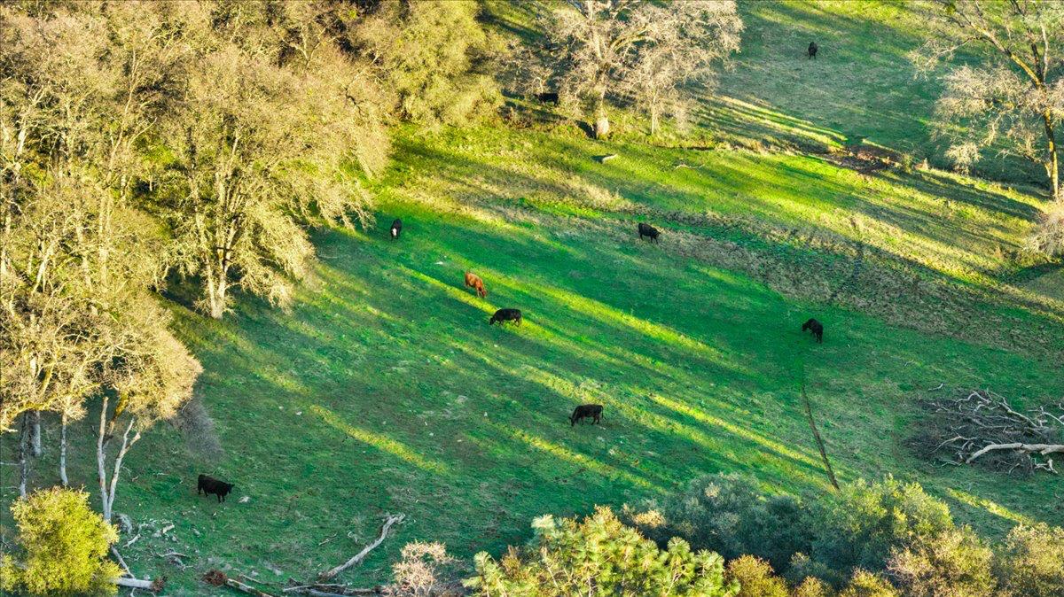 14481 Oak Ridge Road