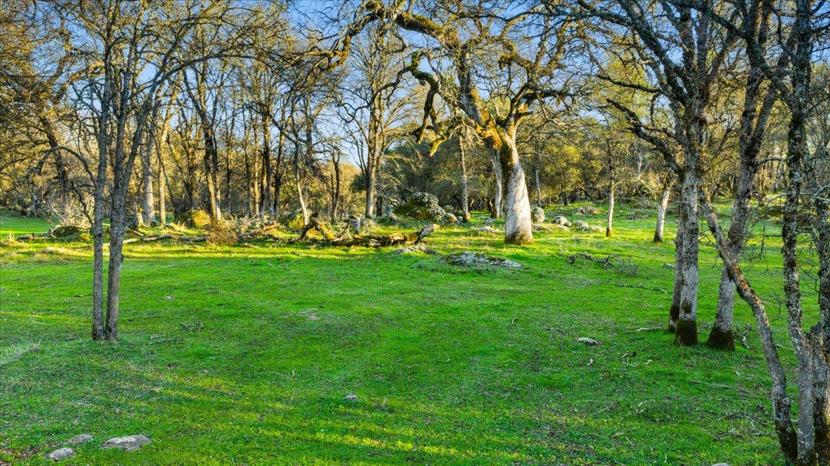 14481 Oak Ridge Road