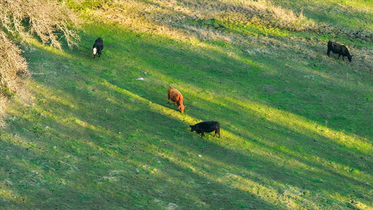 14481 Oak Ridge Road