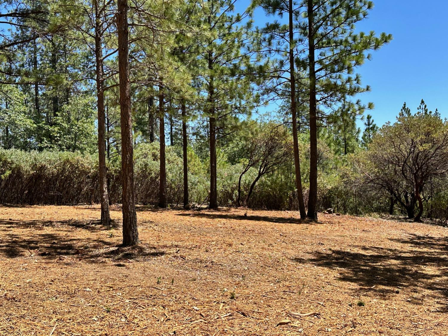 408 E Summit View Drive