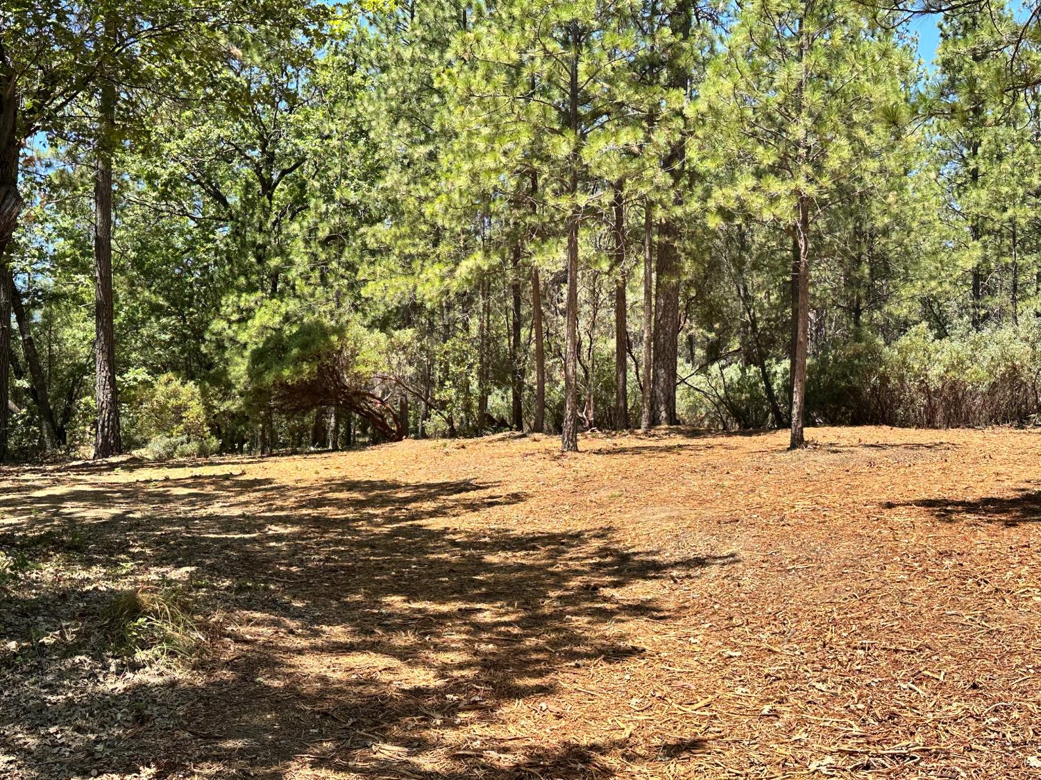 408 E Summit View Drive