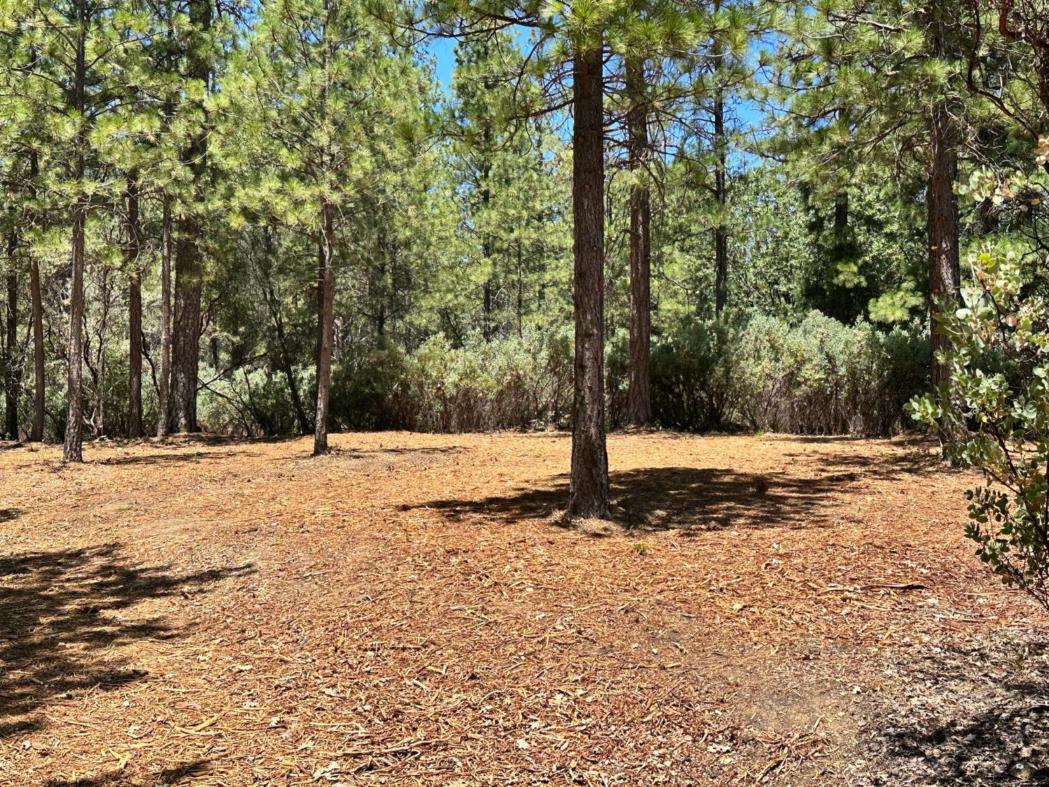 408 E Summit View Drive