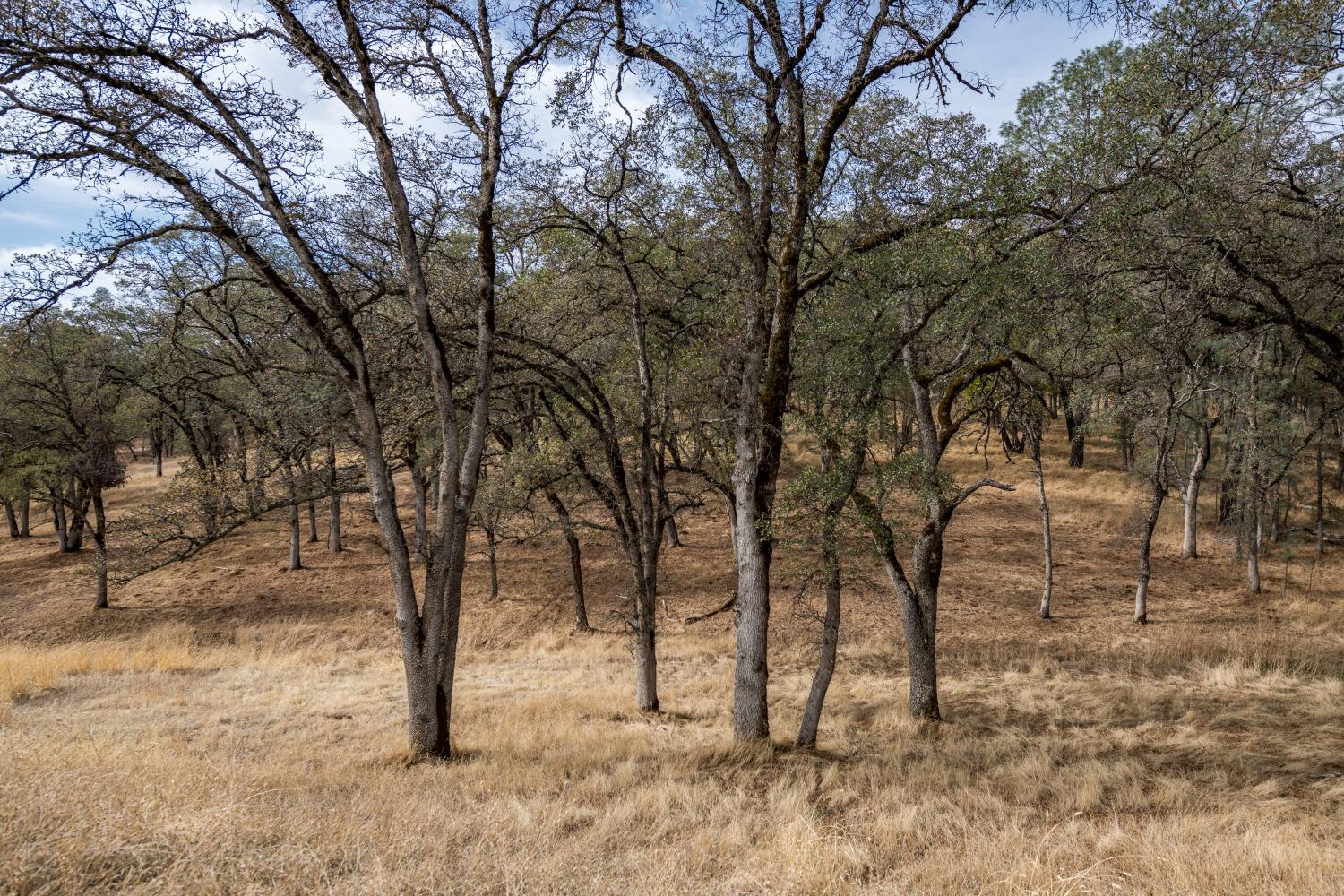 23272 Darkhorse Drive