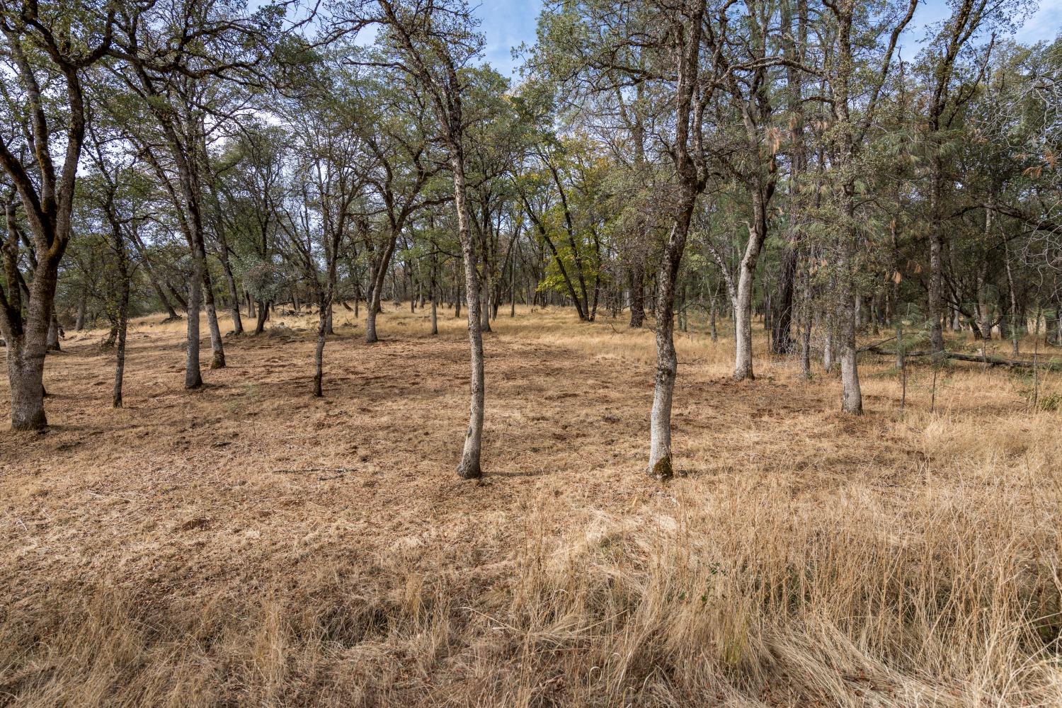 23272 Darkhorse Drive