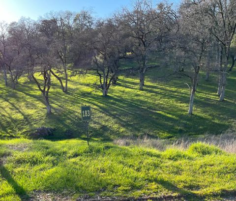 23272 Darkhorse Drive Auburn CA 95602