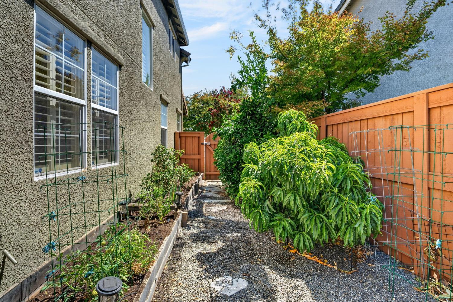 1739 Portola Ct, Davis, CA, 95616, USA, 5 Bedrooms Bedrooms, ,3 BathroomsBathrooms,Residential,Pending,1739 Portola Ct,226098507