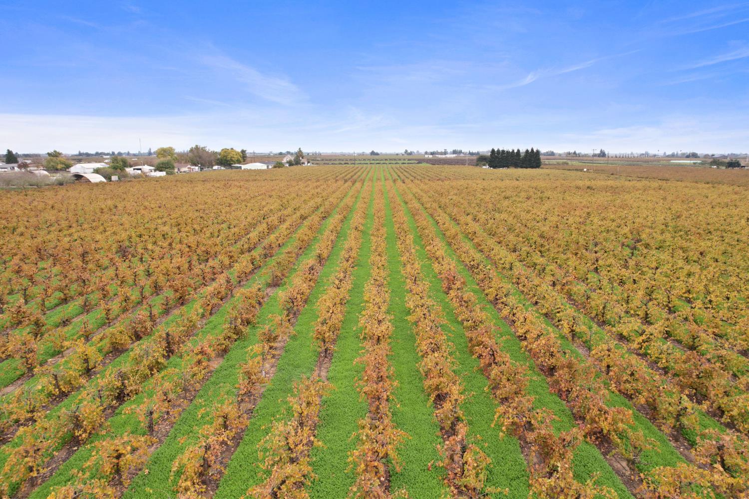 14235 N Vintage Road