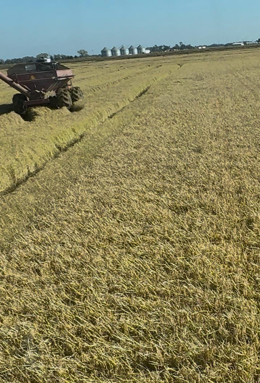 9500 Sunset Boulevard