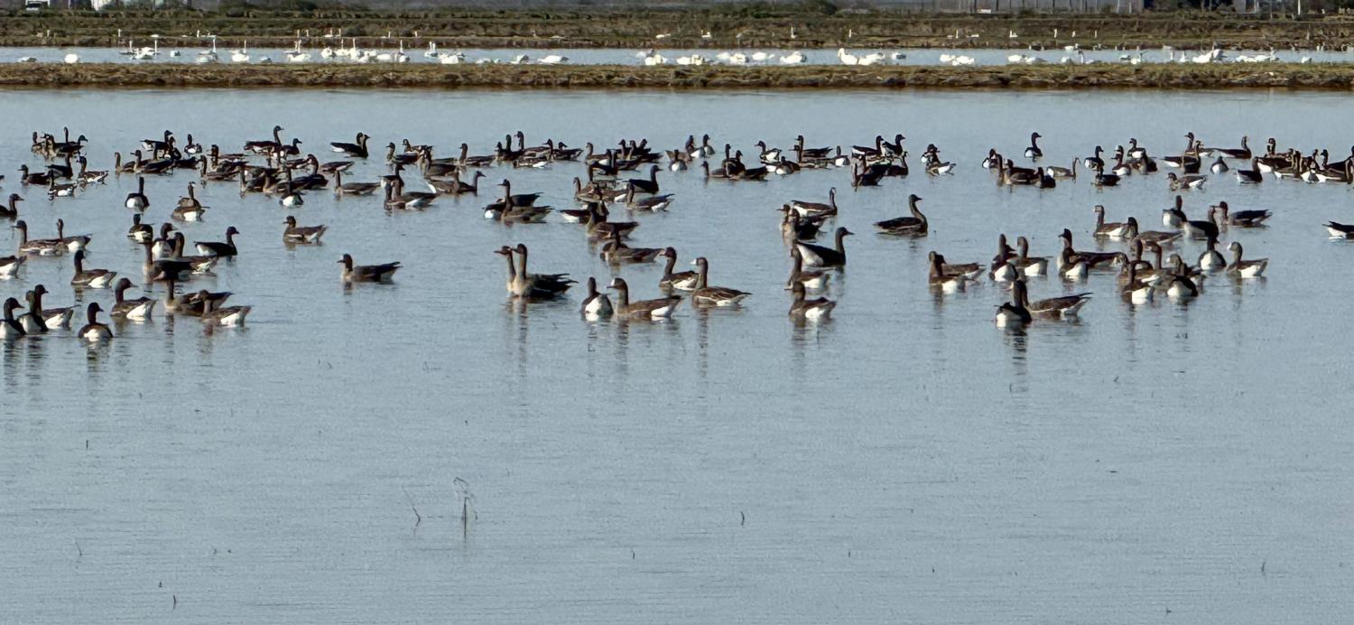 9500 Sunset Boulevard