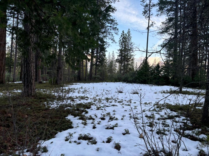 Photo 1 of 24 — 164 Vireo Court, Avery, CA 95224