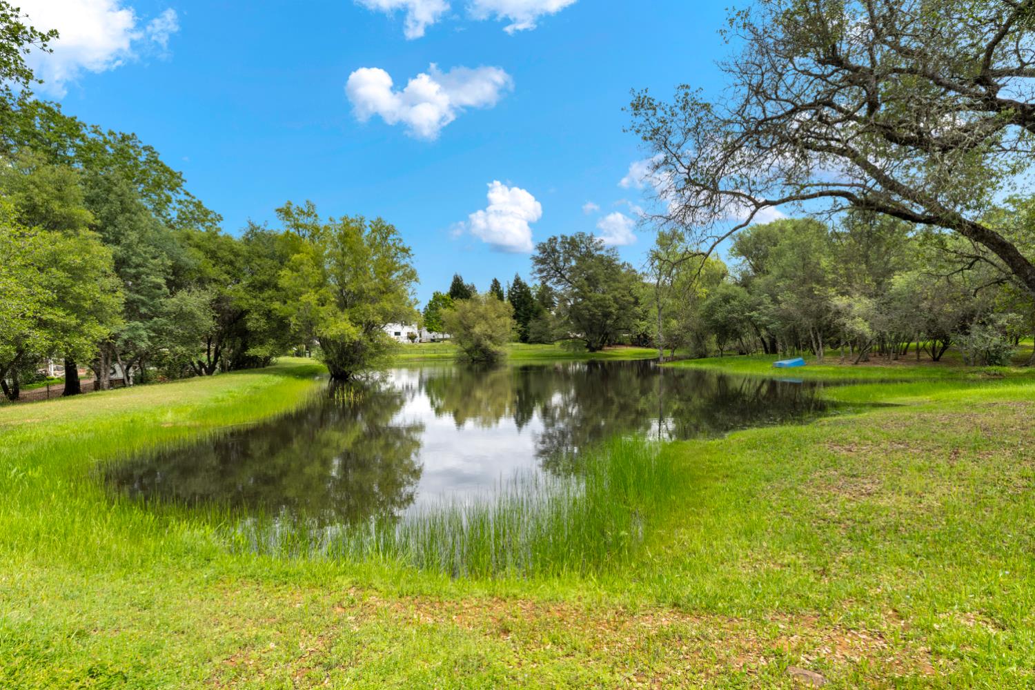 3359 Saint Ives Court