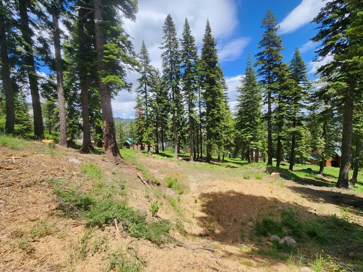 Photo 1 of 4 — 332 Snowshoe Road, Bear Valley, CA 95223