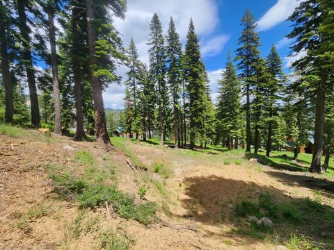 332 Snowshoe Road Bear Valley CA 95223
