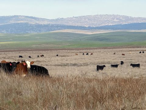 0 Dunton Road Oakdale CA 95361