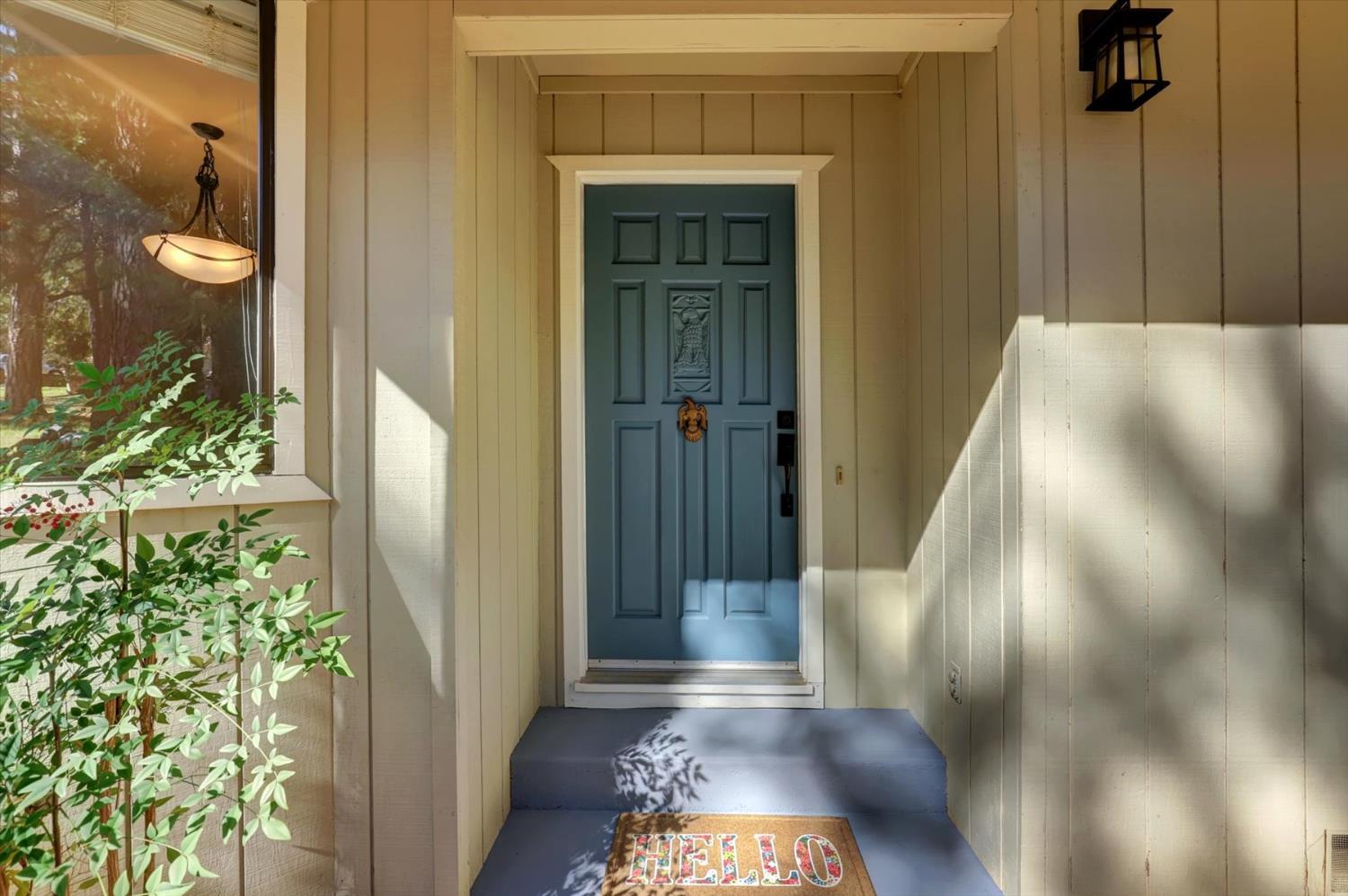 10856 Terrace Pines Court