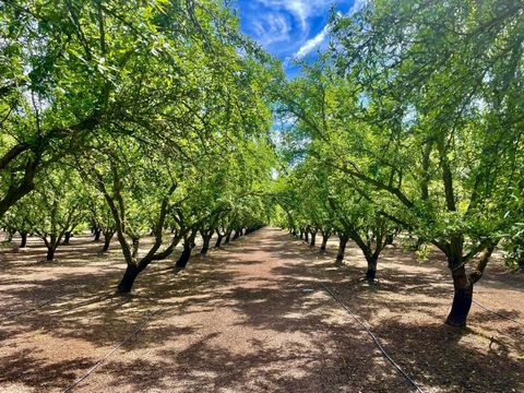 0 Blue Gum Avenue Modesto CA 95358