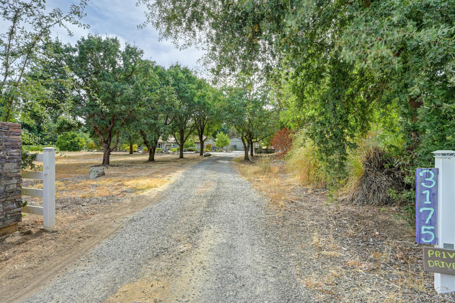 3175 Tiny Lane
