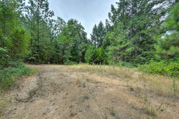 0 MARSHALL RD, GEORGETOWN, CA 95634 - Image 6f406cb3f320499eb5aebde3f043b4d5/1648986192