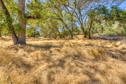 1 Holly Drive Shingle Springs CA 95682