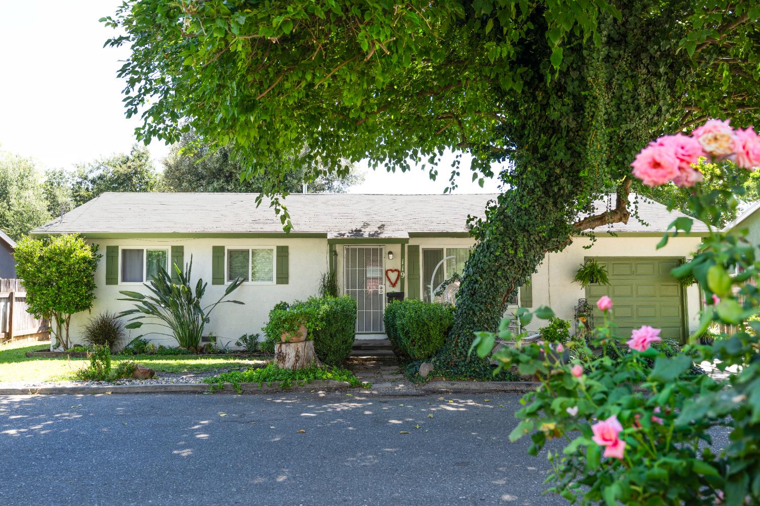 117 Elliot Street