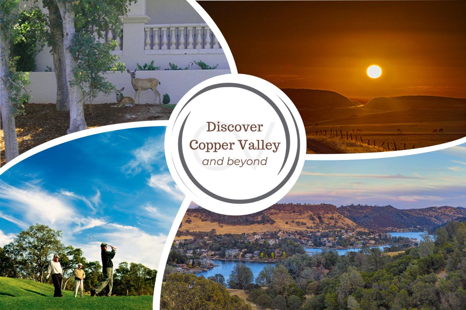 357 Quail Creek Drive