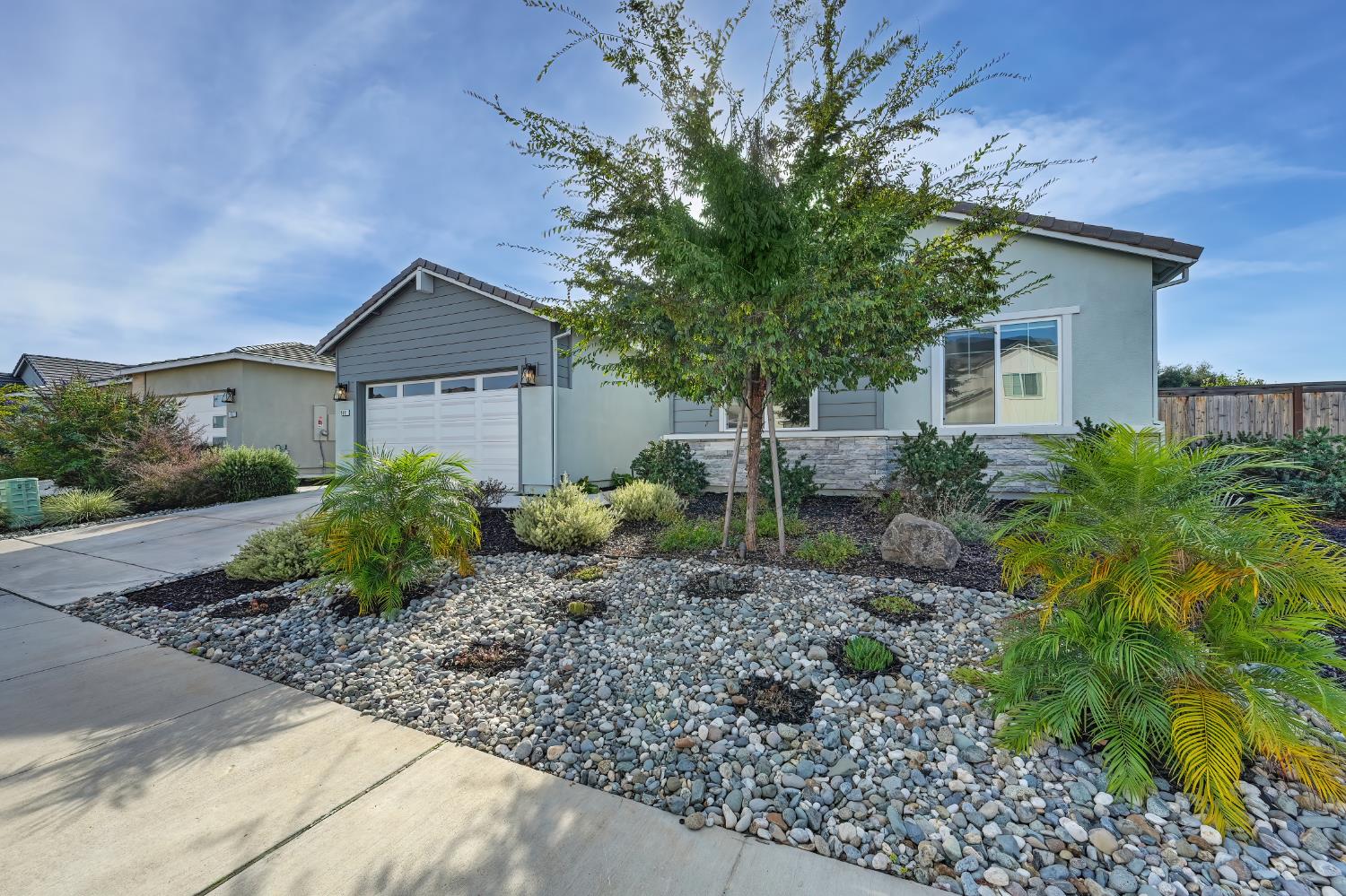 1911 Petite Syrah Lane