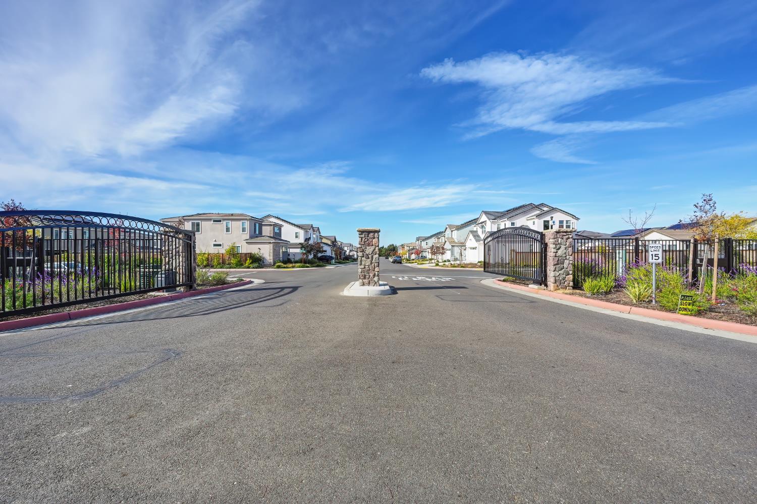 1911 Petite Syrah Lane