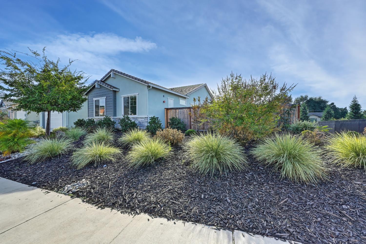 1911 Petite Syrah Lane
