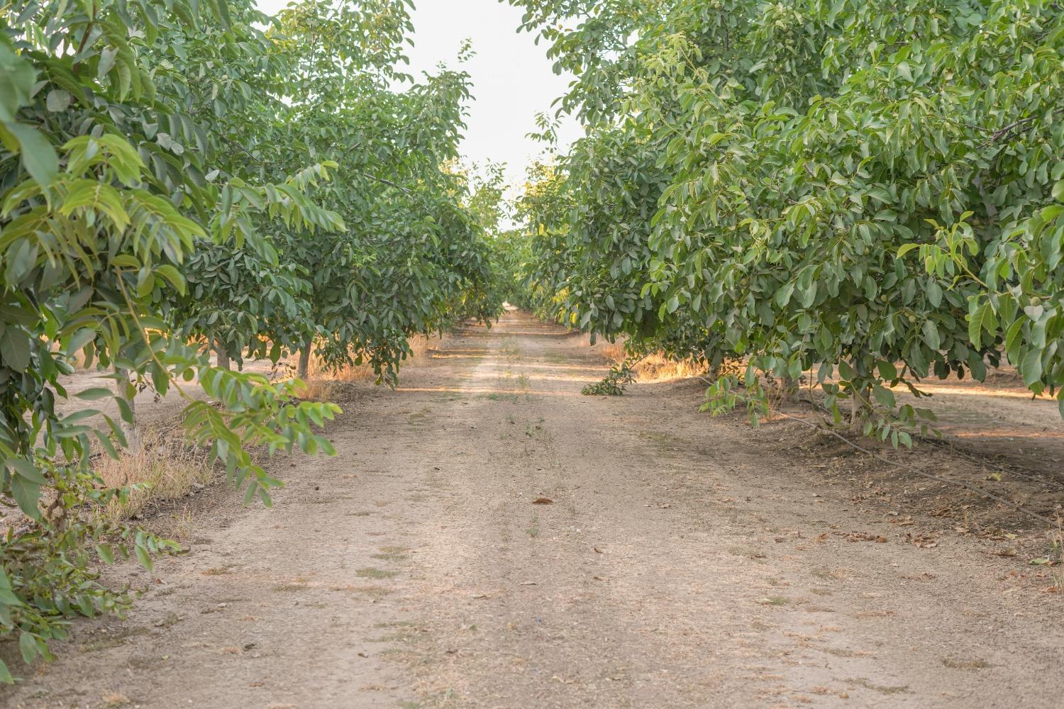 1081 E Gerard Avenue