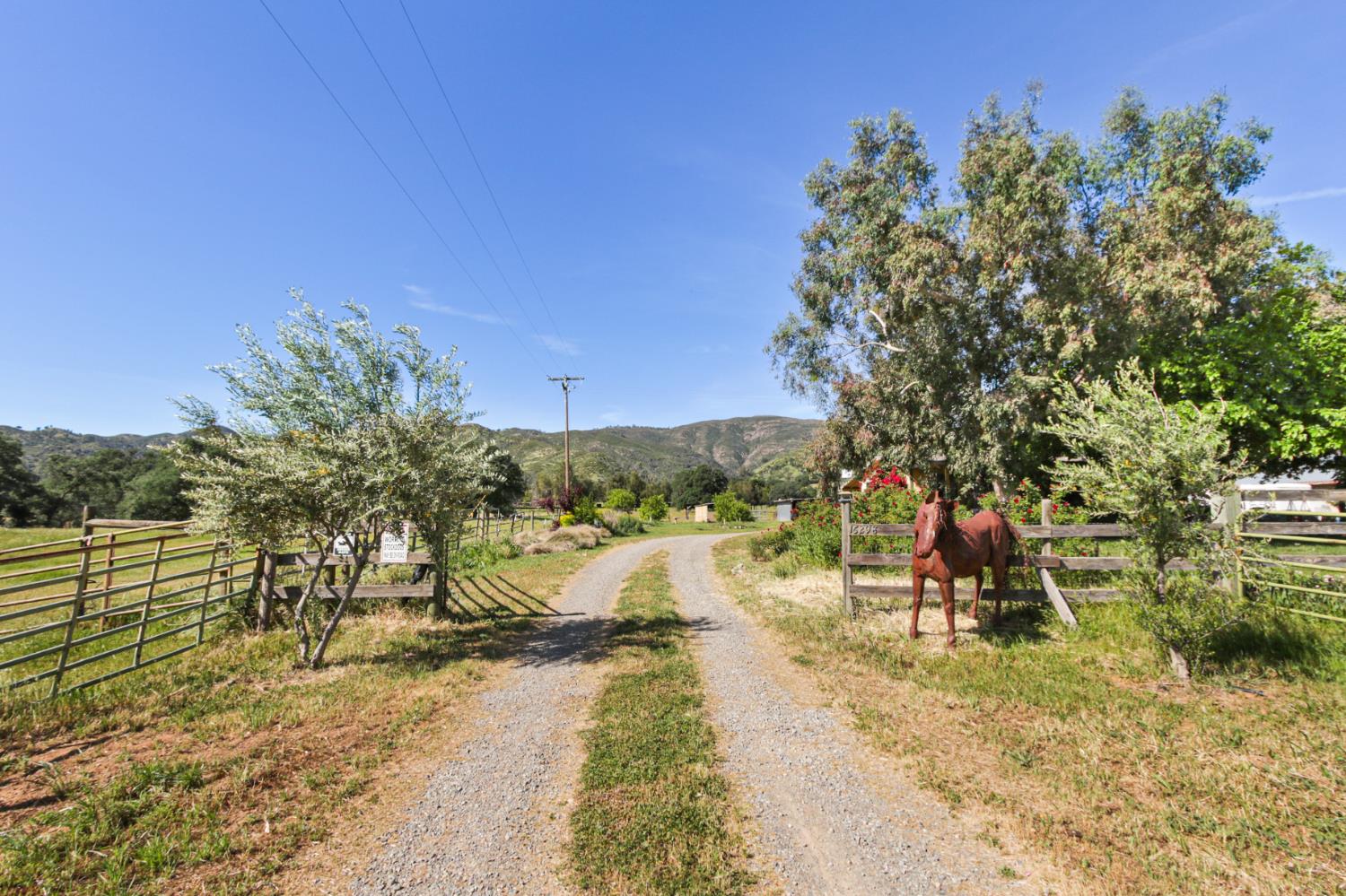 16250 County Rd 56, Guinda, CA, 95637, USA, 3 Bedrooms Bedrooms, ,2 BathroomsBathrooms,Other,Pending,16250 County Rd 56,226035546