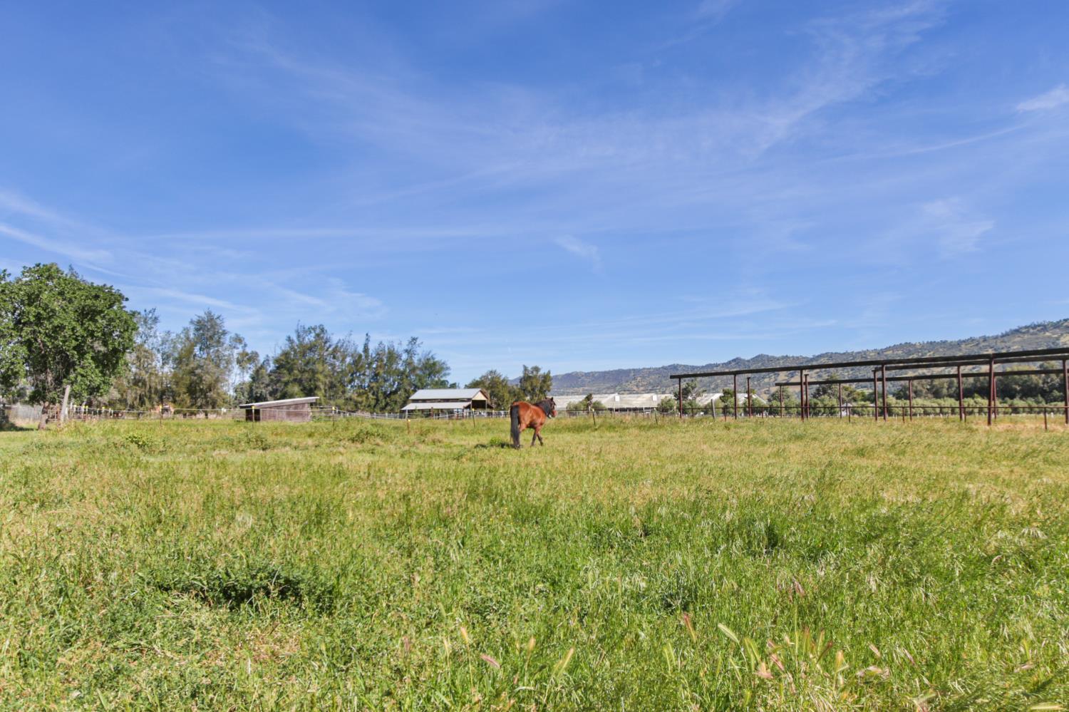 16250 County Rd 56, Guinda, CA, 95637, USA, 3 Bedrooms Bedrooms, ,2 BathroomsBathrooms,Other,Pending,16250 County Rd 56,226035546