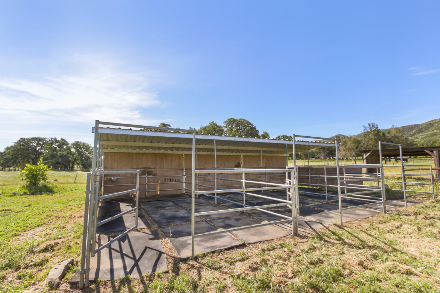 16250 County Rd 56, Guinda, CA, 95637, USA, 3 Bedrooms Bedrooms, ,2 BathroomsBathrooms,Other,Pending,16250 County Rd 56,226035546