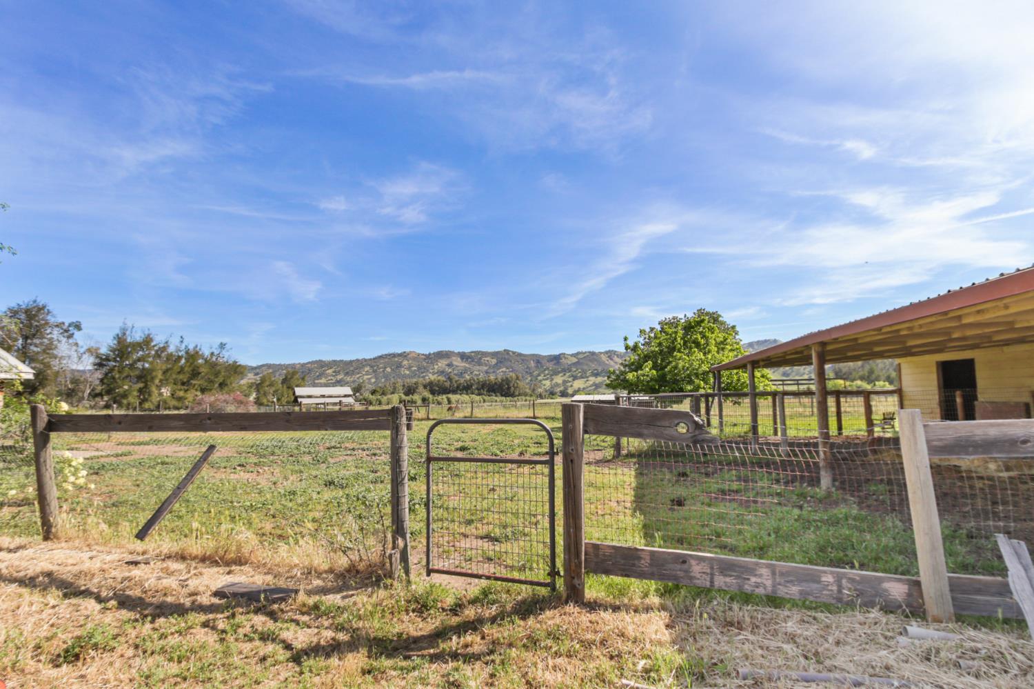 16250 County Rd 56, Guinda, CA, 95637, USA, 3 Bedrooms Bedrooms, ,2 BathroomsBathrooms,Other,Pending,16250 County Rd 56,226035546