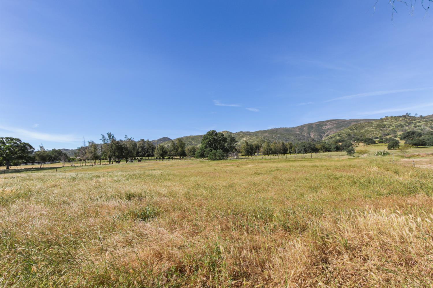 16250 County Rd 56, Guinda, CA, 95637, USA, 3 Bedrooms Bedrooms, ,2 BathroomsBathrooms,Other,Pending,16250 County Rd 56,226035546