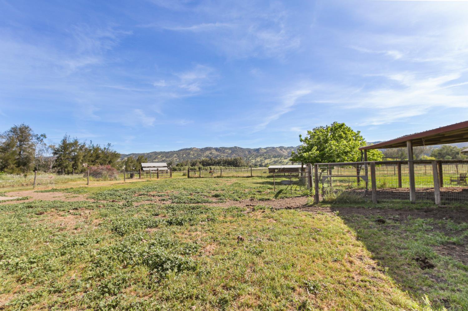 16250 County Rd 56, Guinda, CA, 95637, USA, 3 Bedrooms Bedrooms, ,2 BathroomsBathrooms,Other,Pending,16250 County Rd 56,226035546