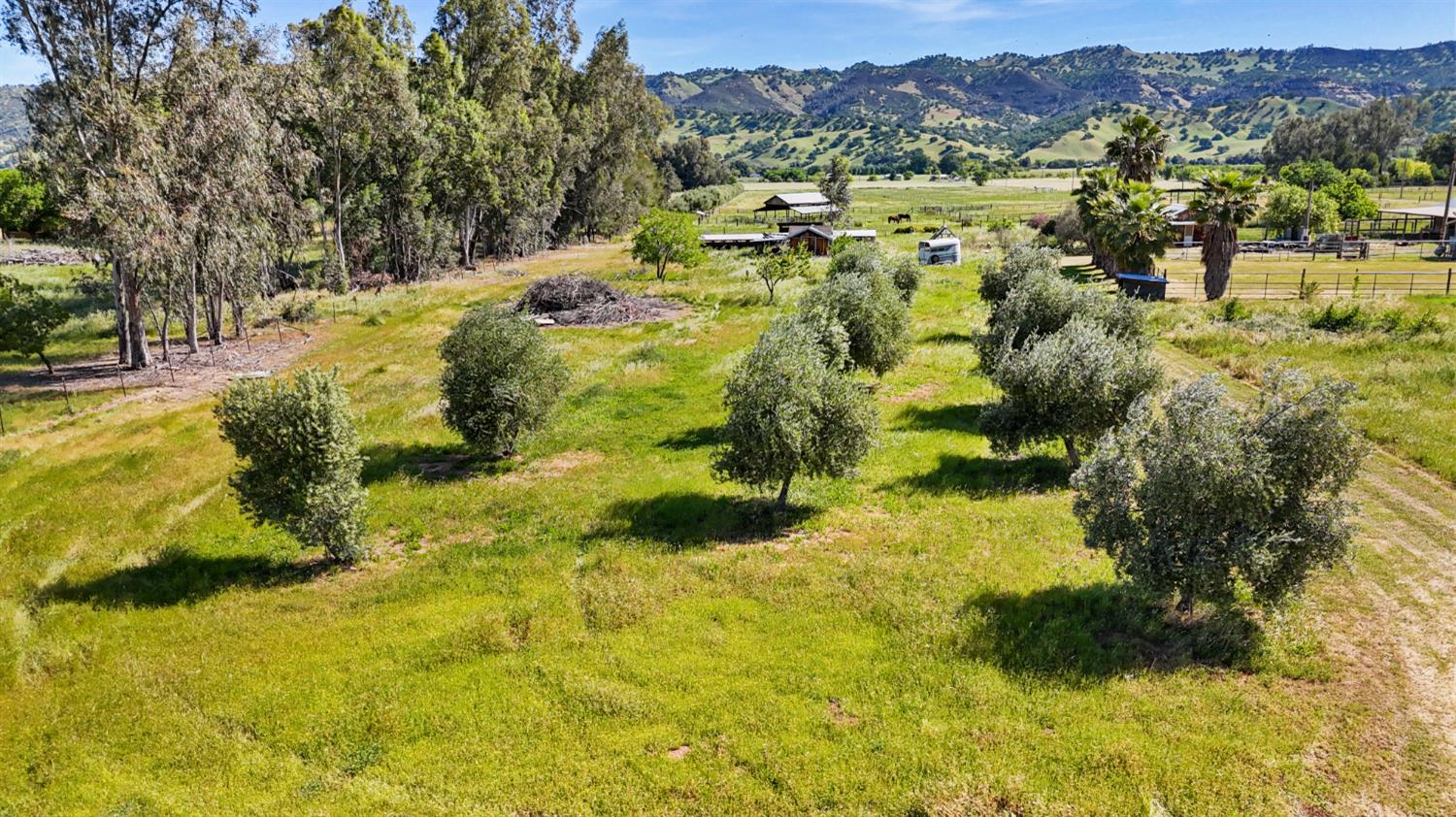 16250 County Rd 56, Guinda, CA, 95637, USA, 3 Bedrooms Bedrooms, ,2 BathroomsBathrooms,Other,Pending,16250 County Rd 56,226035546