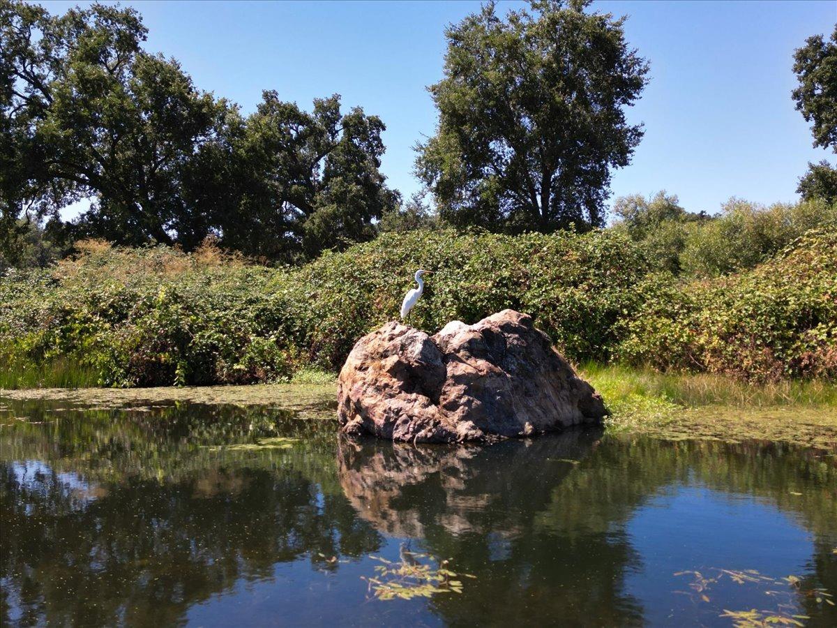 12606 Lime Kiln