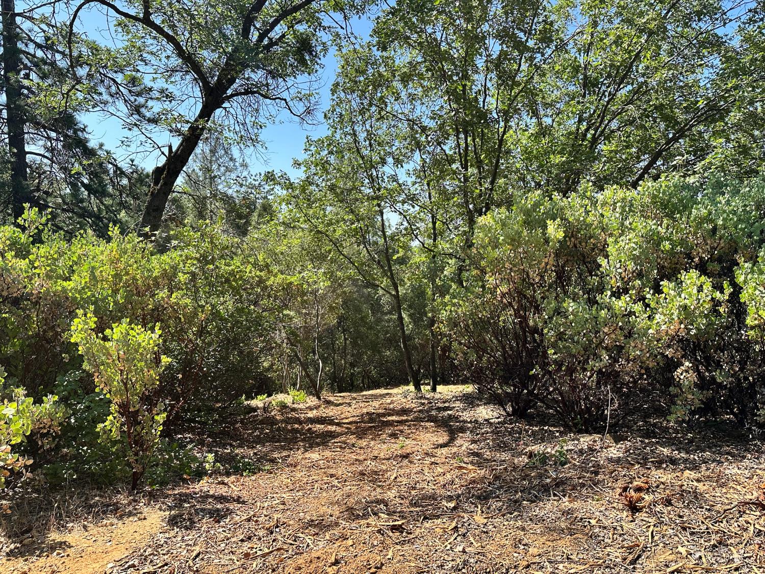 16709 E Summit View Drive