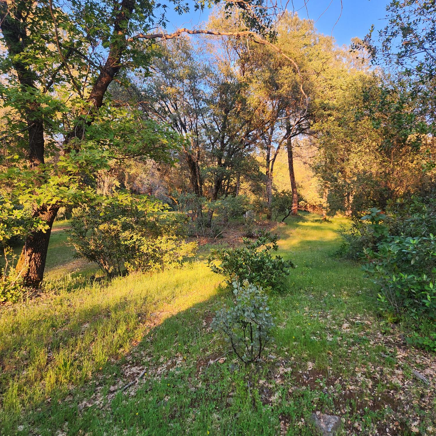 11541 Hernandos Hideaway