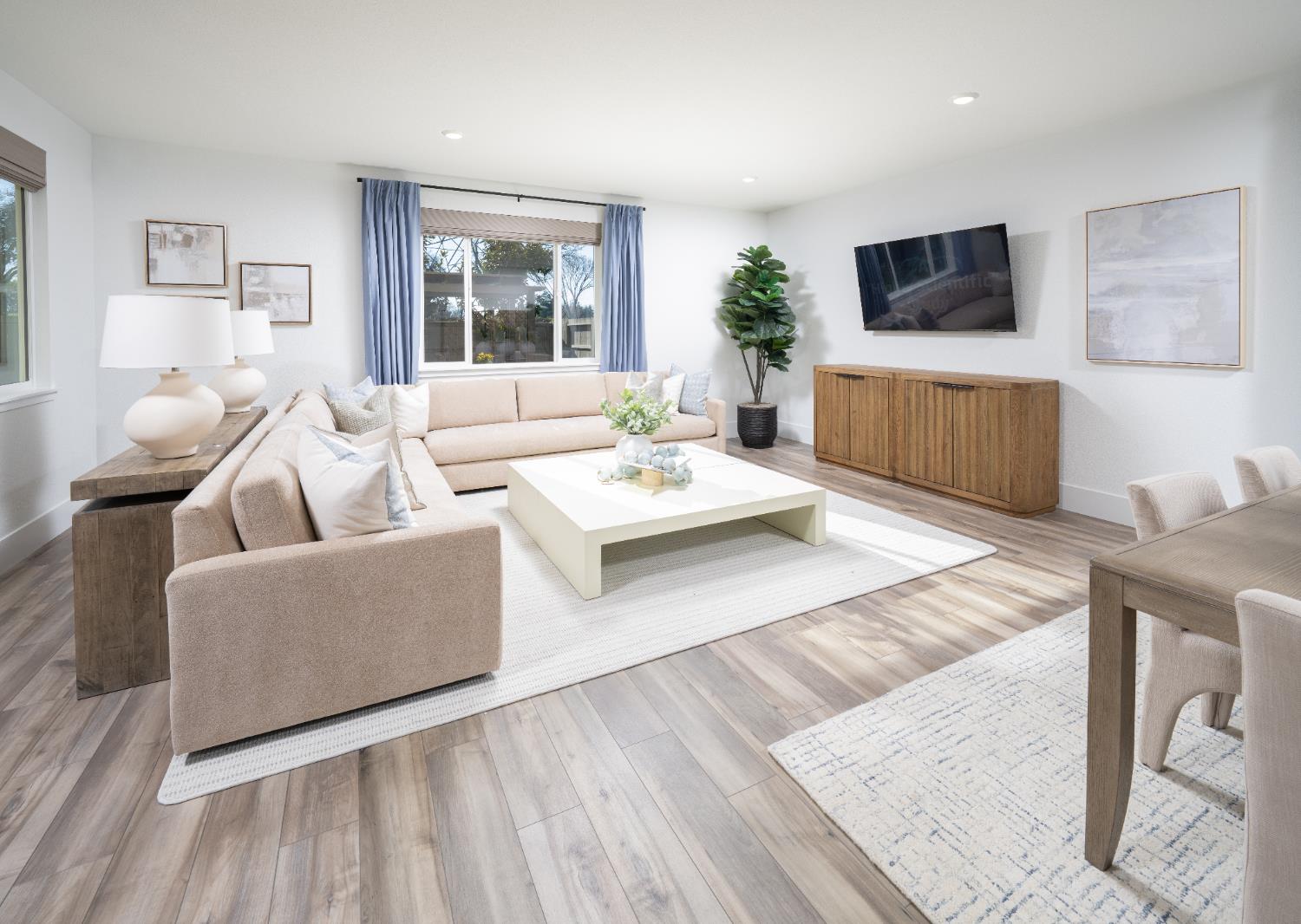 3009 Torrey Pines Drive