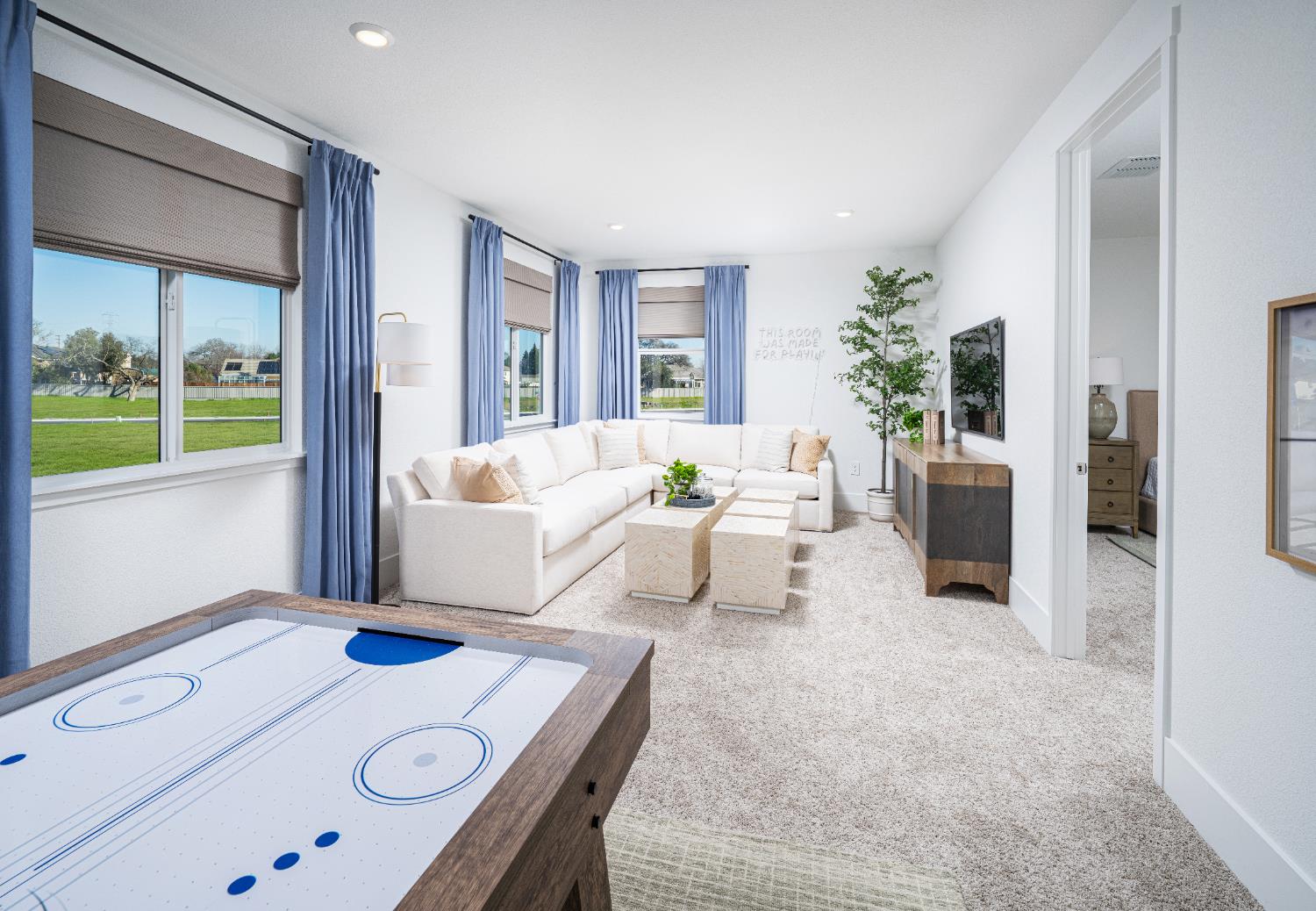 3009 Torrey Pines Drive