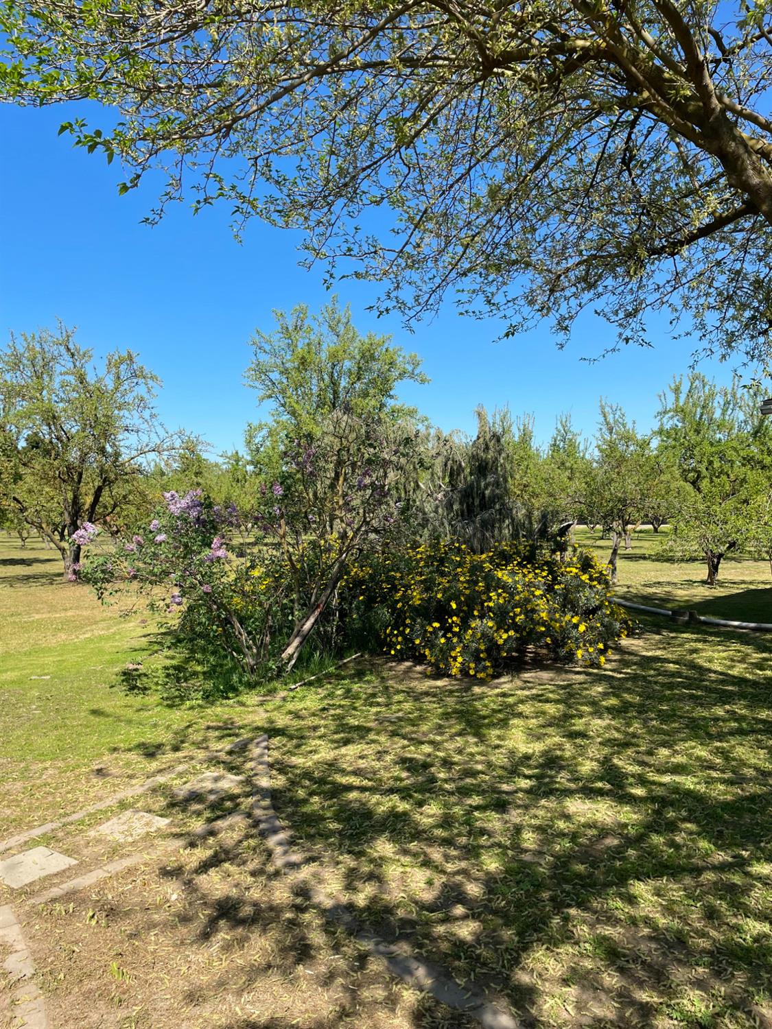 17576 E State Highway 120