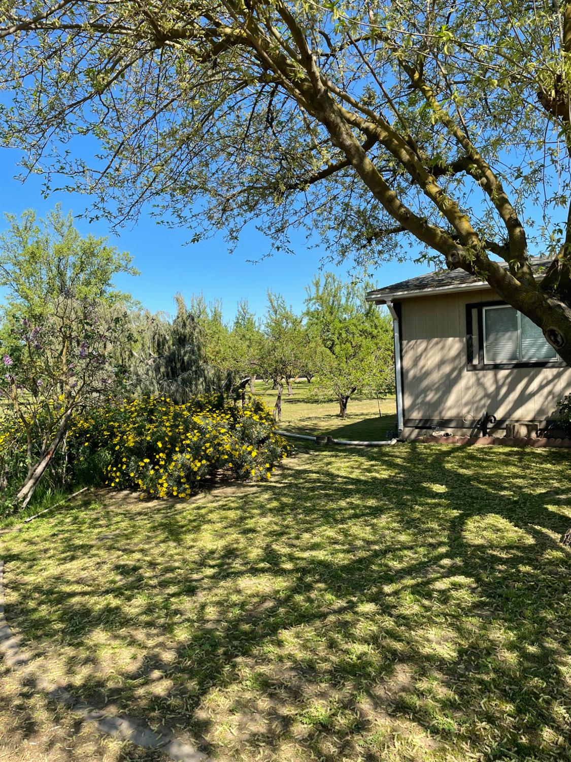 17576 E State Highway 120